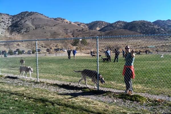 Link Piazzo Dog Park at Hidden Valley Regional Park photo 1